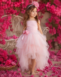 Blush Blossom Dress